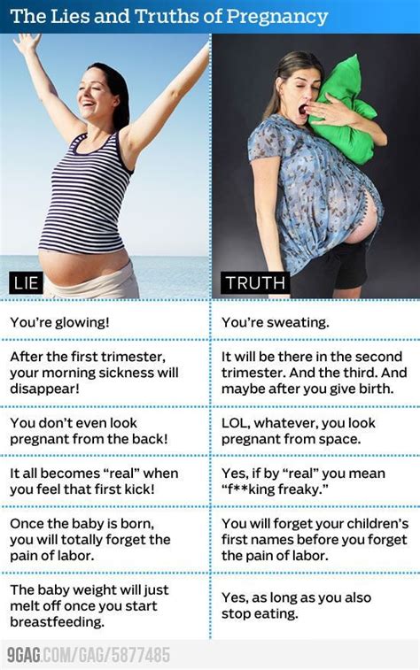 Pregnancy Lies And Truth Pregnancy Humor Pregnancy Guide
