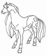 Horseland Coloring Calypso Stable Elfkena Bw Sketch Malvorlagen sketch template