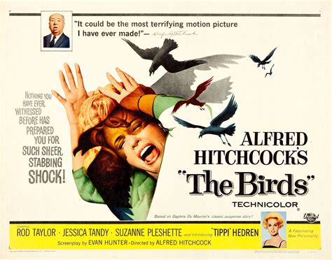 the birds 1963 poster flickr photo sharing
