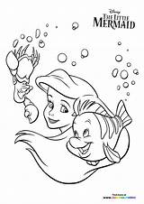 Mermaid Flounder sketch template