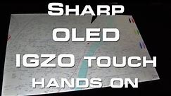 Sharp OLED IGZO Touch Display Hands On - CES 2013