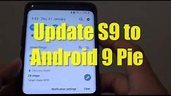 Samsung Galaxy S9: How to to Update Software to Android Pie Version 9
