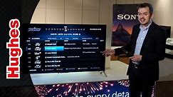 Sony Bravia TV YouView Features Explained