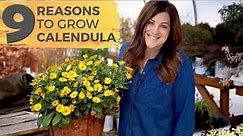 9 Reasons You Should Grow Calendula! 🌼😍// Garden Answer