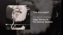 One Good Spliff - Ziggy Marley & The Melody Makers | The Spirit of Music (1999)