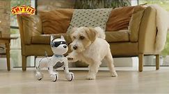 Ziggy le chien robot interactif t'attend chez Smyths Toys