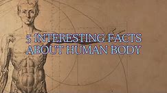 5 Interesting Facts about Human Body