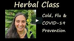 Herbal Class - Cold, Flu and COVID-19 Prevention