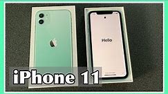 Green iPhone 11 Unboxing and Review 2021 | New Apple iPhone 11