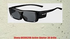 Sharp AN3DG20B Active Shutter 3D Brille