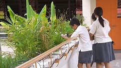 Rooftop solar panels, hydroponics farms: Climate education picks up pace in Singapore schools