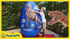 Giant Egg Surprise Opening! Jurassic World Dinosaur Toys Kids Video Videos For Kids