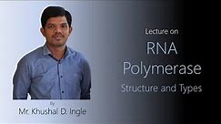 RNA Polymerase - Structure and types