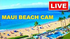 🐳 LIVE 24/7 🌴 4K MAUI LIVE CAM! Kaanapali Beach CAM, Maui | www.WhalerCondo.net