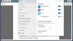 Change camera & microphone privacy settings in Windows 10 (2023 Updated)