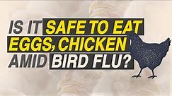 Avian Influenza: Know if it is safe to eat eggs ,chicken during bird flu outbreak