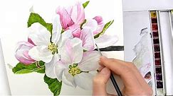 How to paint realistic apple blossom in watercolour with Anna Mason