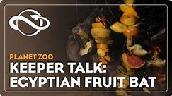 Planet Zoo | Keeper Talk | Egyptian Fruit Bat