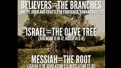 Any Branch Not Abiding In The ROOT Dies Off #ekklesia