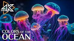 The Ocean 4K - Captivating Moments with Jellyfish and Fish in the Ocean - Relaxation Video #2