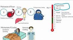 Body Temperature: Fever, Hyperpyrexia vs Hyperthermia (heat stroke)