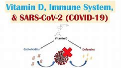Vitamin D, Immune System & SARS-CoV-2 (COVID-19) | Mechanism of Vit D Immune Regulation & Overview