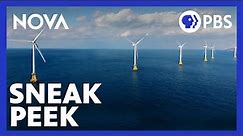 Chasing Carbon Zero | Sneak Peek | NOVA | PBS