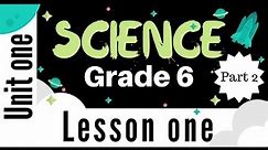 Grade 6 | Unit 1 - Lesson 1 - Part 2 - Mass and Weight