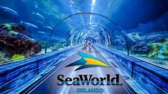 Top Things to Do at SeaWorld Orlando You Can’t Miss!