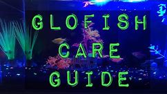My GloFish Aquarium | Glofish Care Guide
