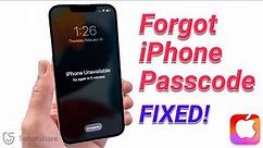 [2023] Forgot iPhone Passcode? 4 Ways to Unlock It!👍