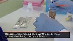 C. difficile toxin A+B rapid test — detection of C. difficile and toxins A/B