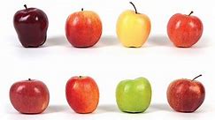 Apple varieties