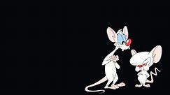 35 Pinky and the Brain Quotes on Taking Over the World
