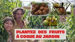Comment réussir sa plantation de #fruits à coque ? (amandier, pacanier, pistachier, noyer)