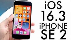 iOS 16.3 On iPhone SE (2020)! (Review)