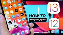 How to Update From iOS 12 to iOS 13 or Downgrade iOS 13 to iOS 12 EASY