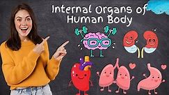 Internal Organs | Human Body Organs Location and Function | Science for Kids