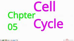 Biology Mcqs class 9th Chapter No.05 cell cycle