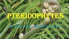 | Pteridophytes | Vascular cryptogams :An Introduction, General Characters HPU BSc 1st Year