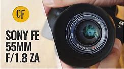 Sony (Zeiss) 55mm f/1.8 ZA lens review & comparison (Full-frame & APS-C)