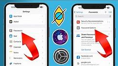 How To See Saved Password in iPhone || View All Your Password Saved on iphone