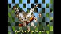 Download Free Animated Screensavers