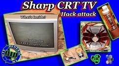 What's Inside a TV - Dissecting a Sharp CRT Television - Parts 4 Salvage