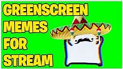 Un Dos Tres Cuatro Mexican Cat Green Screen Meme Video