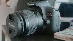 Canon T7 (1500D) Review - Photo & Video Test