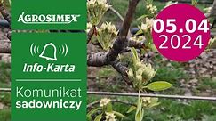 Zabiegi przed kwitnieniem - komunikat sadowniczy | Agrosimex