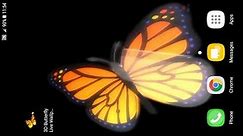 3D Butterfly Live Wallpaper
