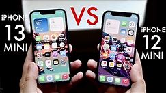 iPhone 13 Mini Vs iPhone 12 Mini In 2022! (Comparison) (Review)