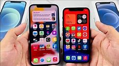 iPhone 12 vs iPhone 12 Mini Top Differences!